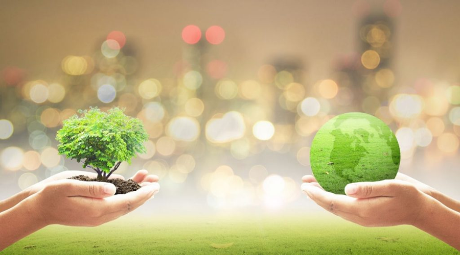 ISO 14001